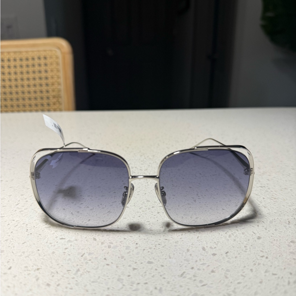 Loewe Silver And Gray Sunglasses